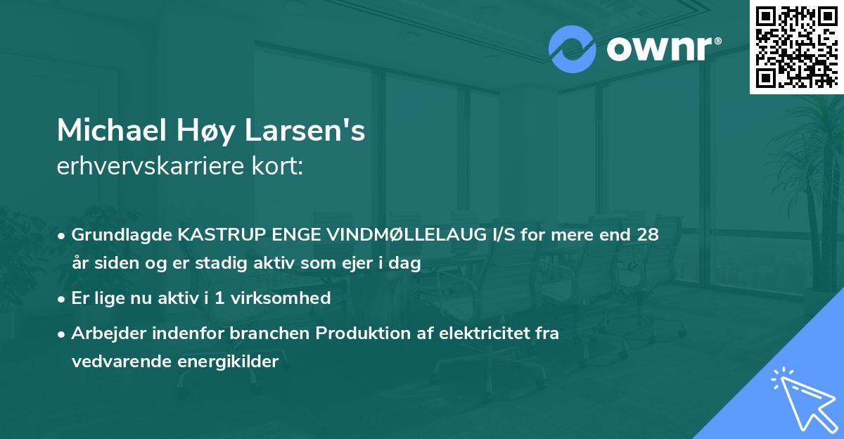 Michael Høy Larsen's erhvervskarriere kort