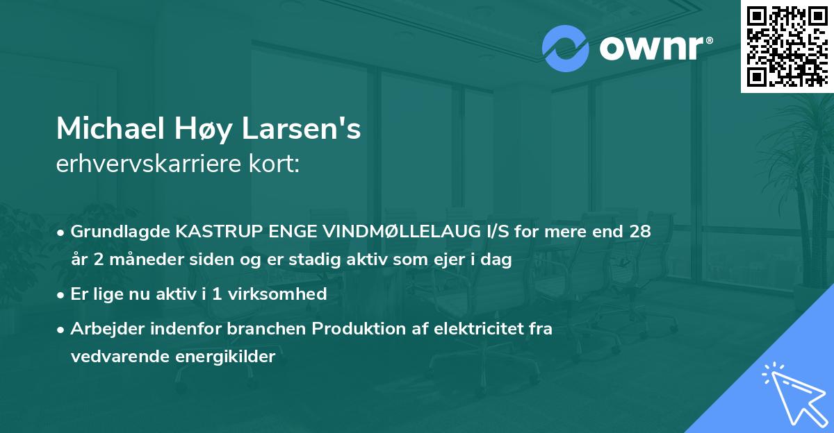 Michael Høy Larsen's erhvervskarriere kort