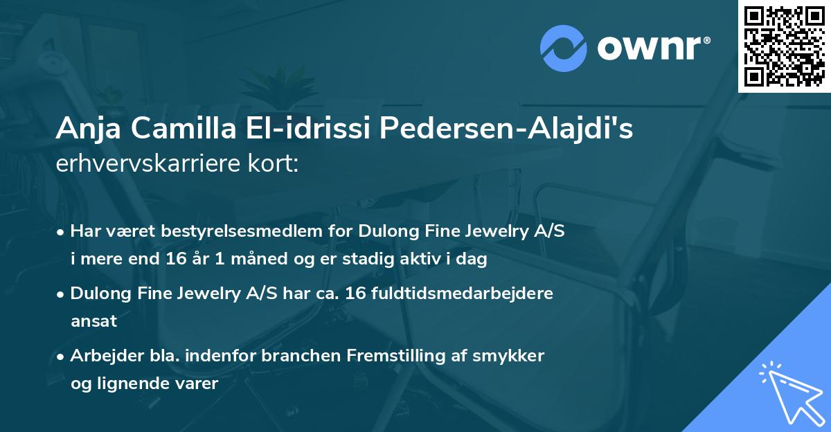 Anja Camilla El-idrissi Pedersen-Alajdi's erhvervskarriere kort