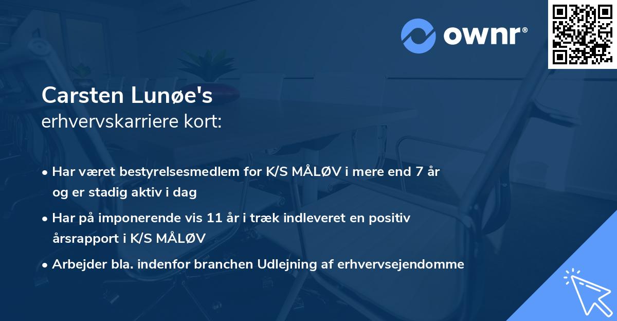 Carsten Lunøe's erhvervskarriere kort