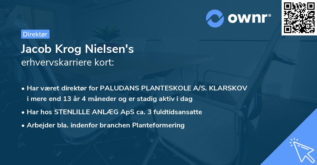 Jacob Krog Nielsen's erhvervskarriere kort