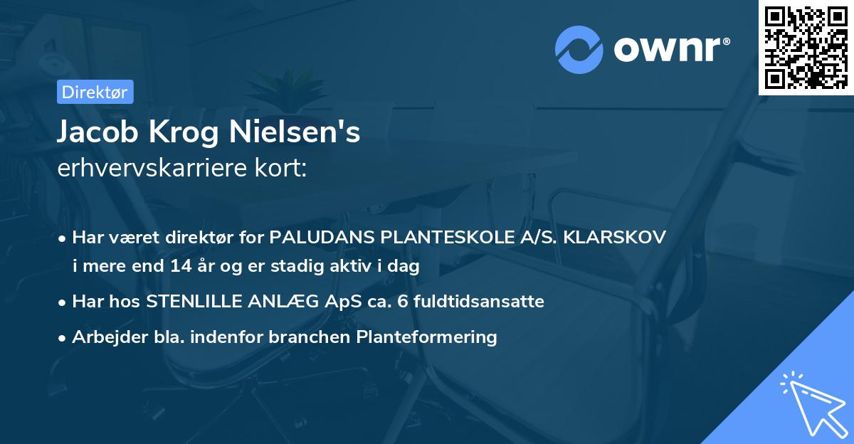 Jacob Krog Nielsen's erhvervskarriere kort