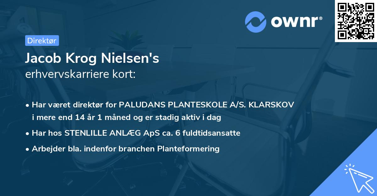 Jacob Krog Nielsen's erhvervskarriere kort
