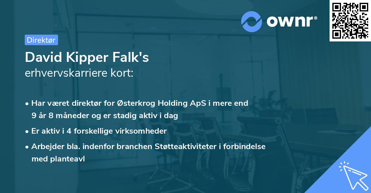 David Kipper Falk's erhvervskarriere kort