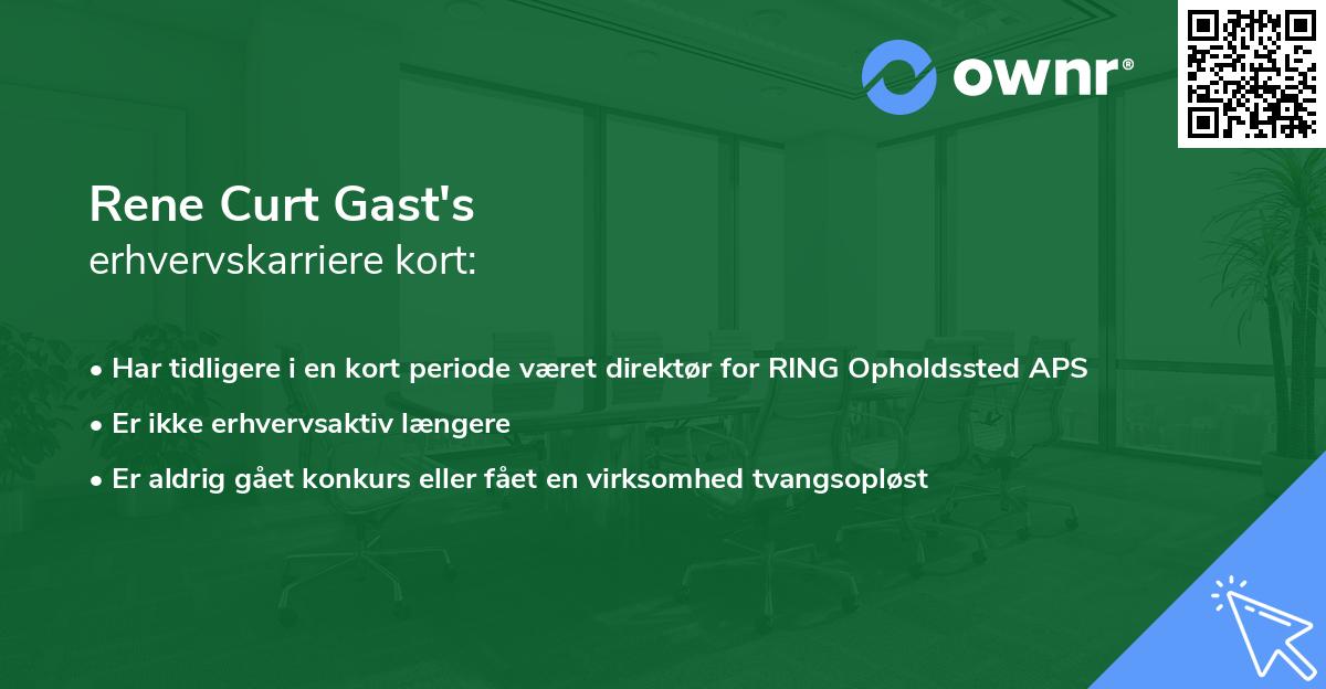 Rene Curt Gast's erhvervskarriere kort