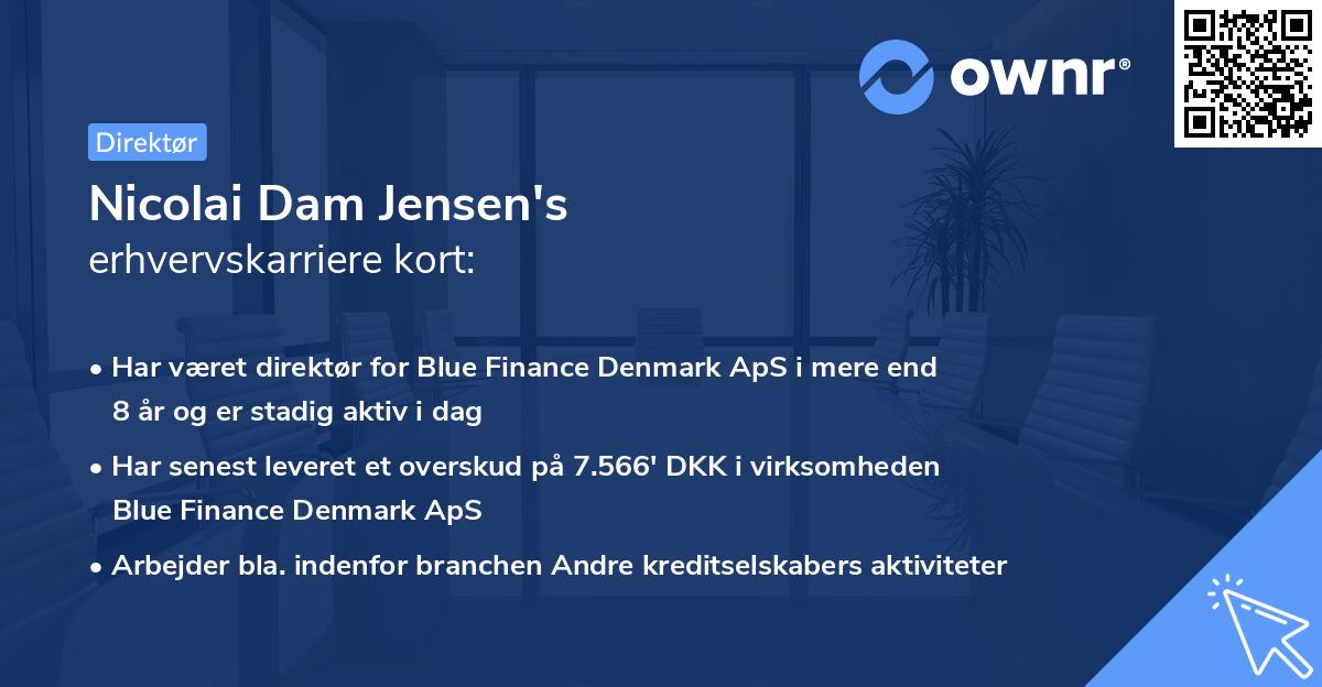 Nicolai Dam Jensen's erhvervskarriere kort