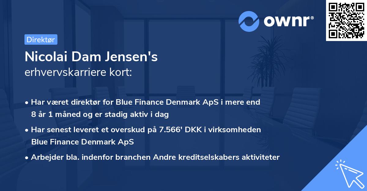 Nicolai Dam Jensen's erhvervskarriere kort