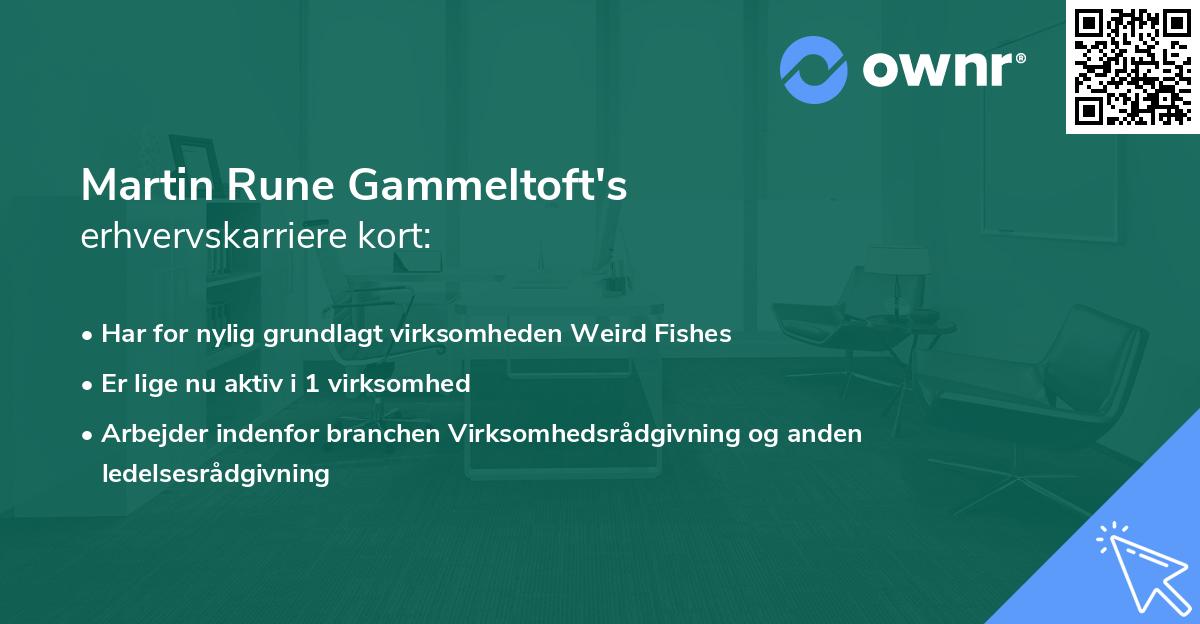 Martin Rune Gammeltoft's erhvervskarriere kort