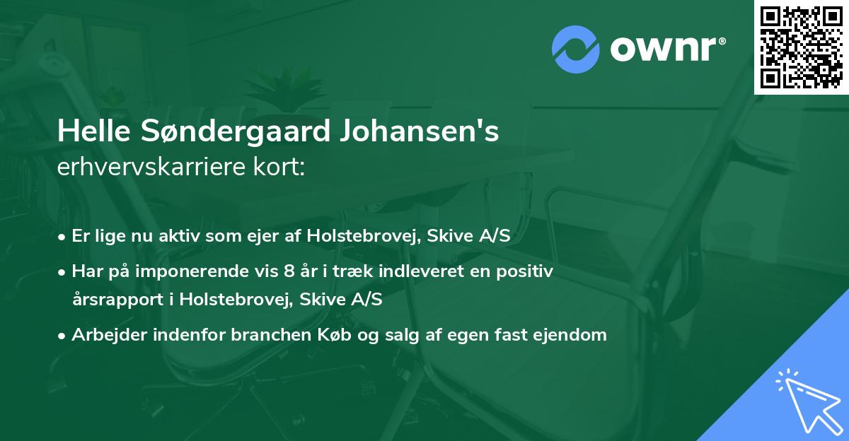 Helle Søndergaard Johansen's erhvervskarriere kort