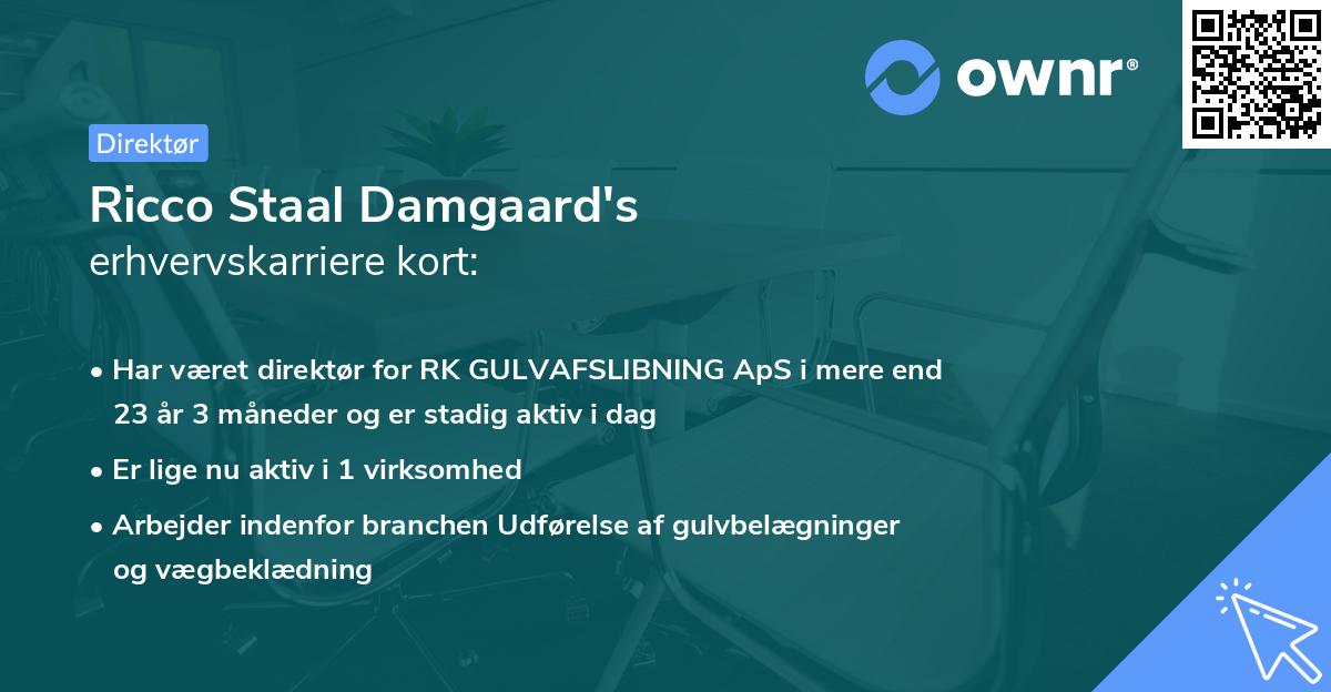 Ricco Staal Damgaard's erhvervskarriere kort