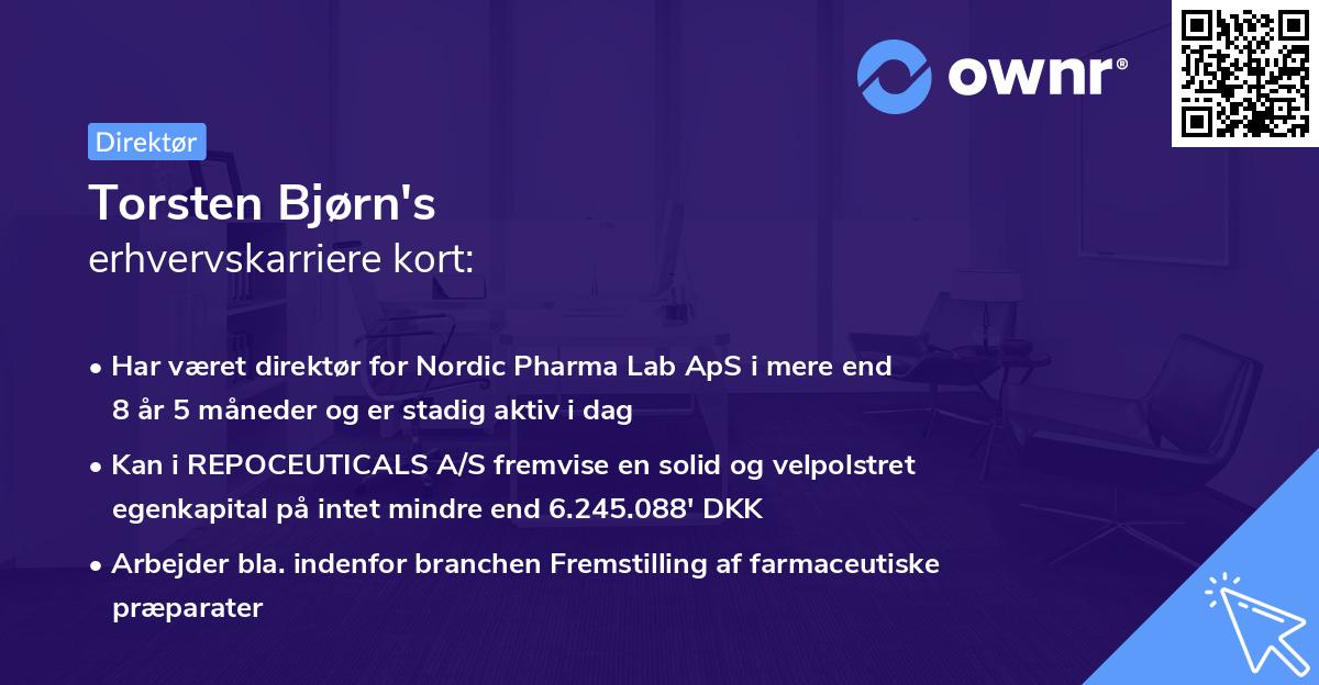 Torsten Bjørn's erhvervskarriere kort