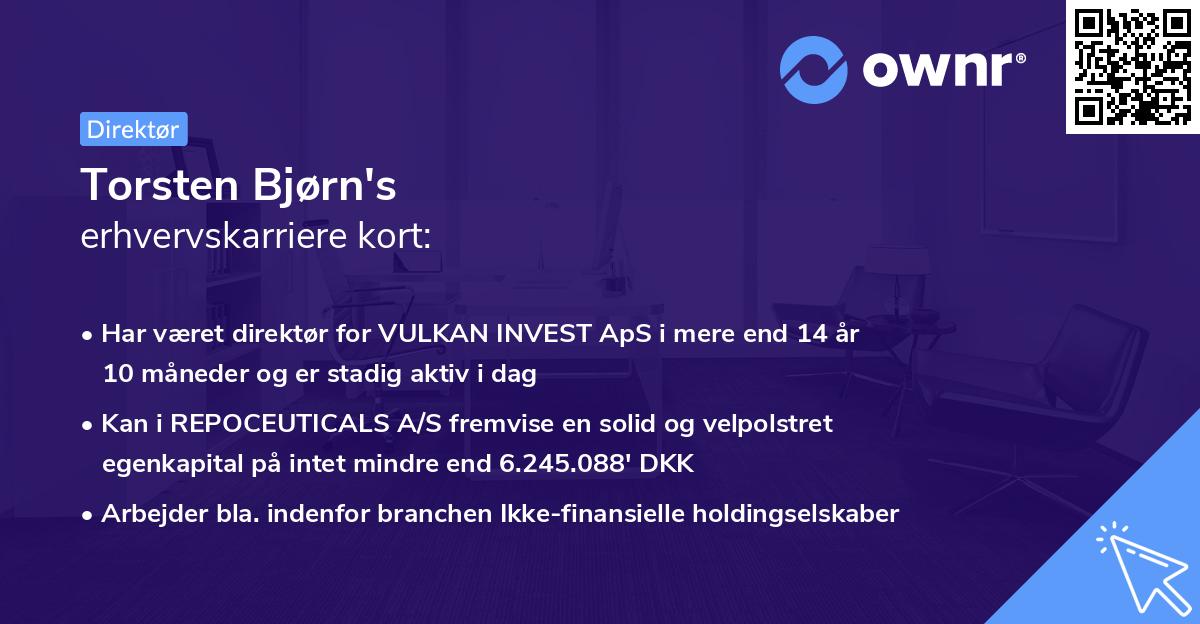 Torsten Bjørn's erhvervskarriere kort