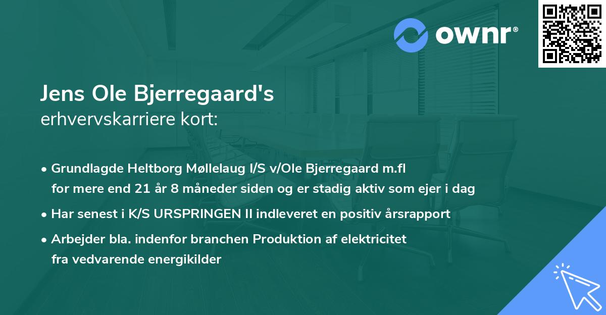 Jens Ole Bjerregaard's erhvervskarriere kort