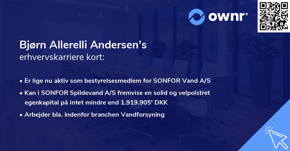Bjørn Allerelli Andersen's erhvervskarriere kort