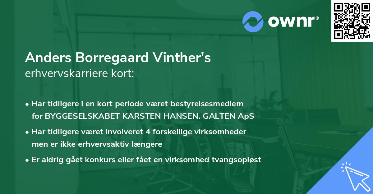Anders Borregaard Vinther's erhvervskarriere kort