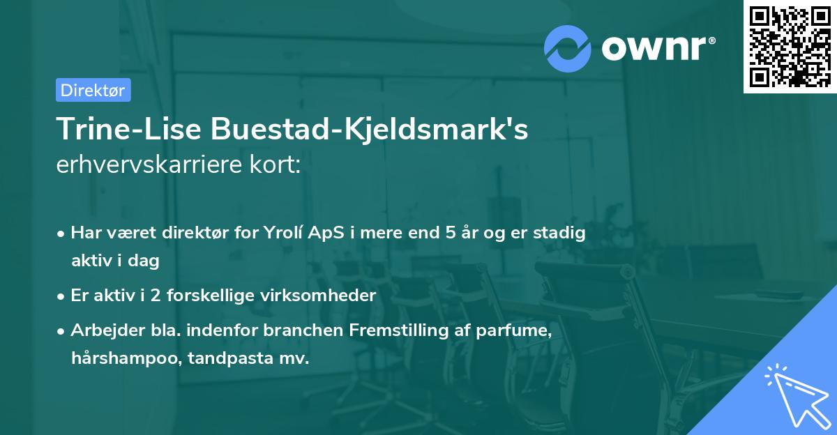 Trine-Lise Buestad-Kjeldsmark's erhvervskarriere kort