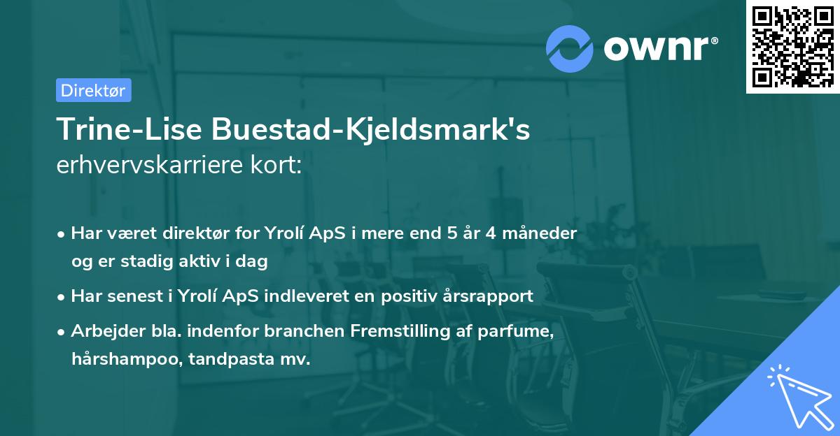 Trine-Lise Buestad-Kjeldsmark's erhvervskarriere kort