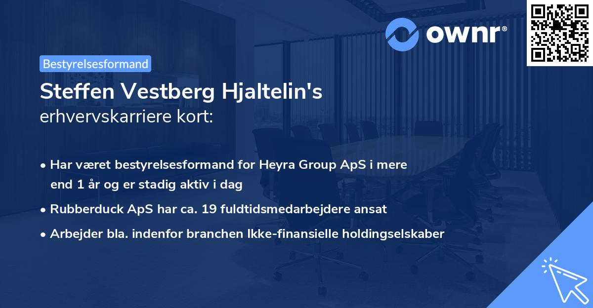 Steffen Vestberg Hjaltelin's erhvervskarriere kort