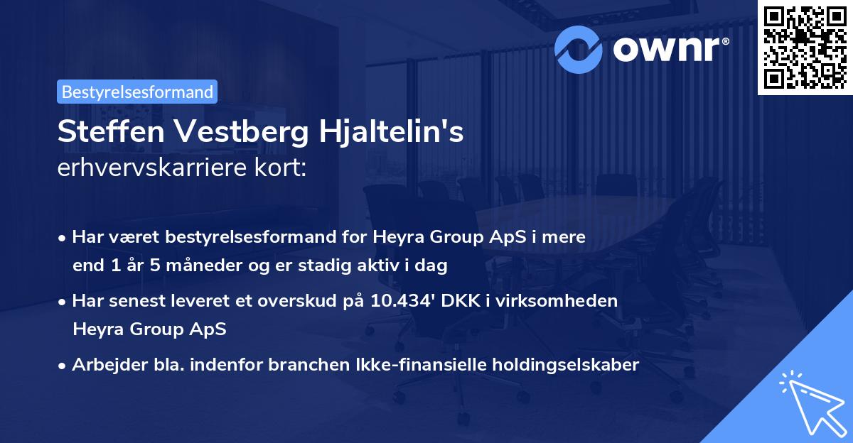 Steffen Vestberg Hjaltelin's erhvervskarriere kort