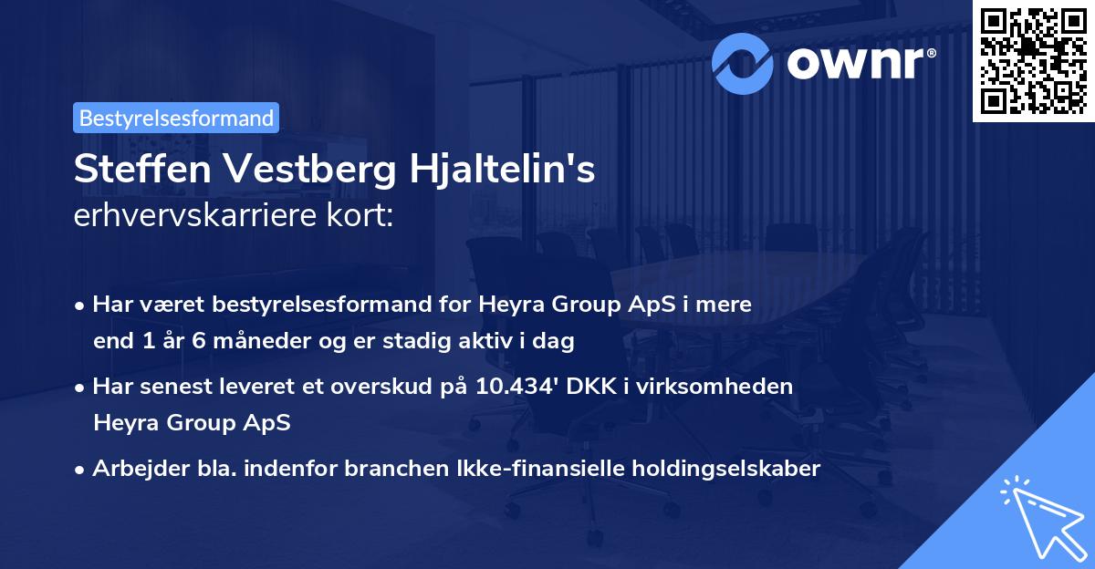 Steffen Vestberg Hjaltelin's erhvervskarriere kort