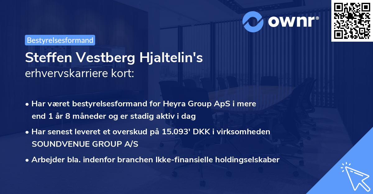 Steffen Vestberg Hjaltelin's erhvervskarriere kort