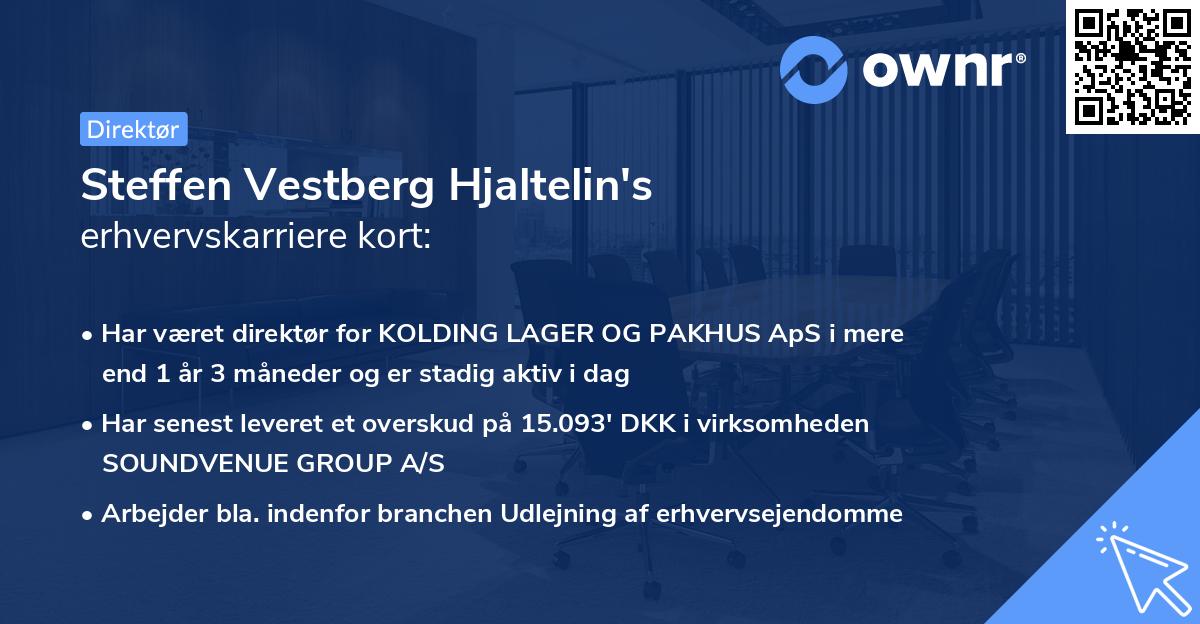 Steffen Vestberg Hjaltelin's erhvervskarriere kort