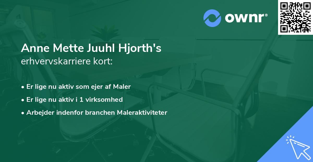 Anne Mette Juuhl Hjorth's erhvervskarriere kort