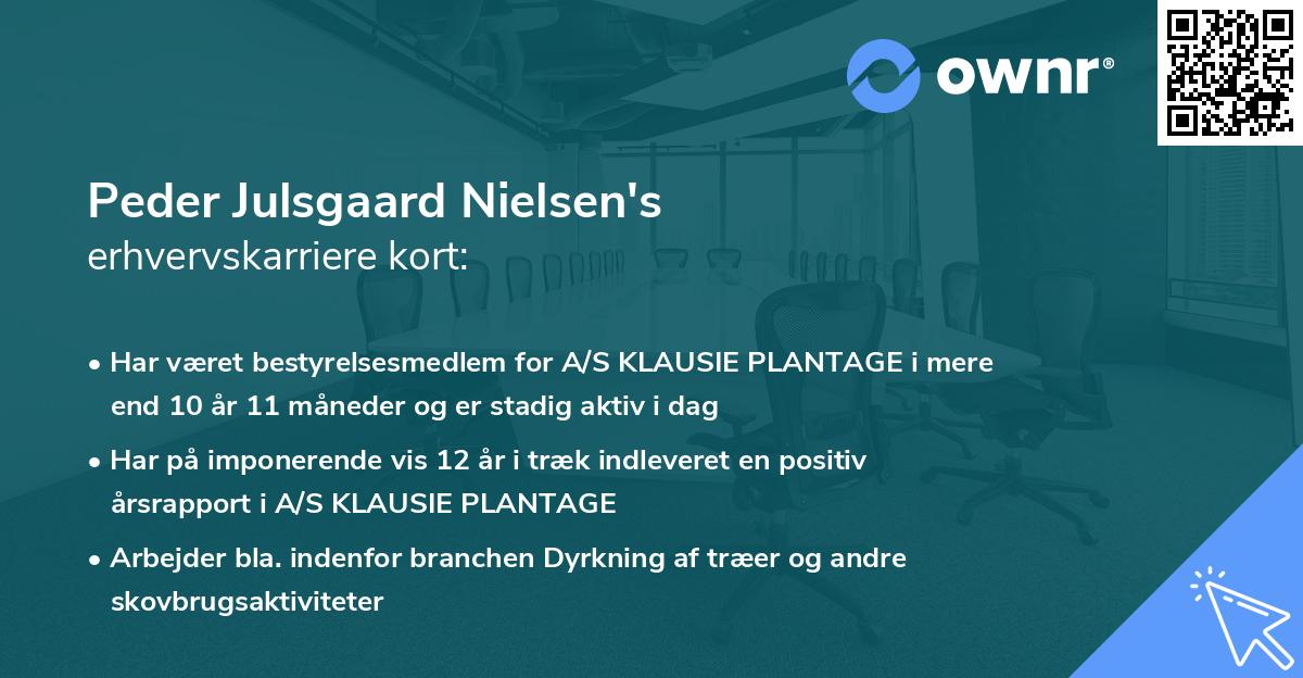 Peder Julsgaard Nielsen's erhvervskarriere kort