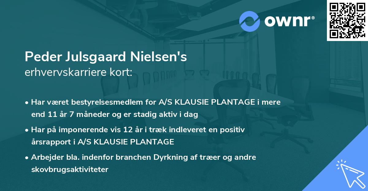 Peder Julsgaard Nielsen's erhvervskarriere kort