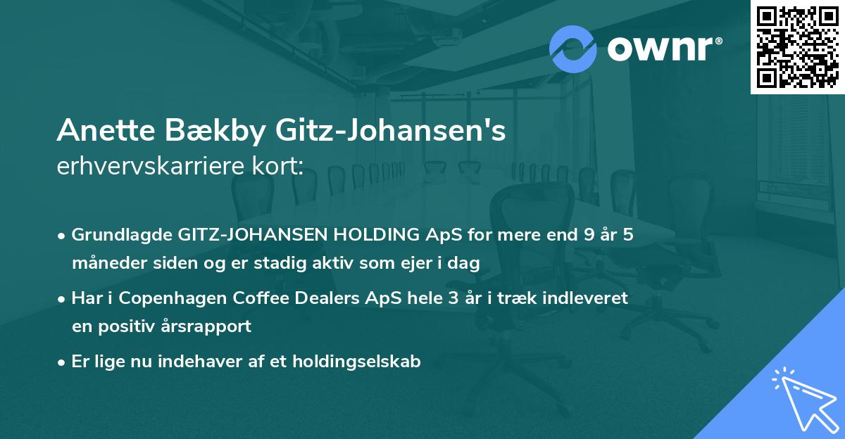 Anette Bækby Gitz-Johansen's erhvervskarriere kort