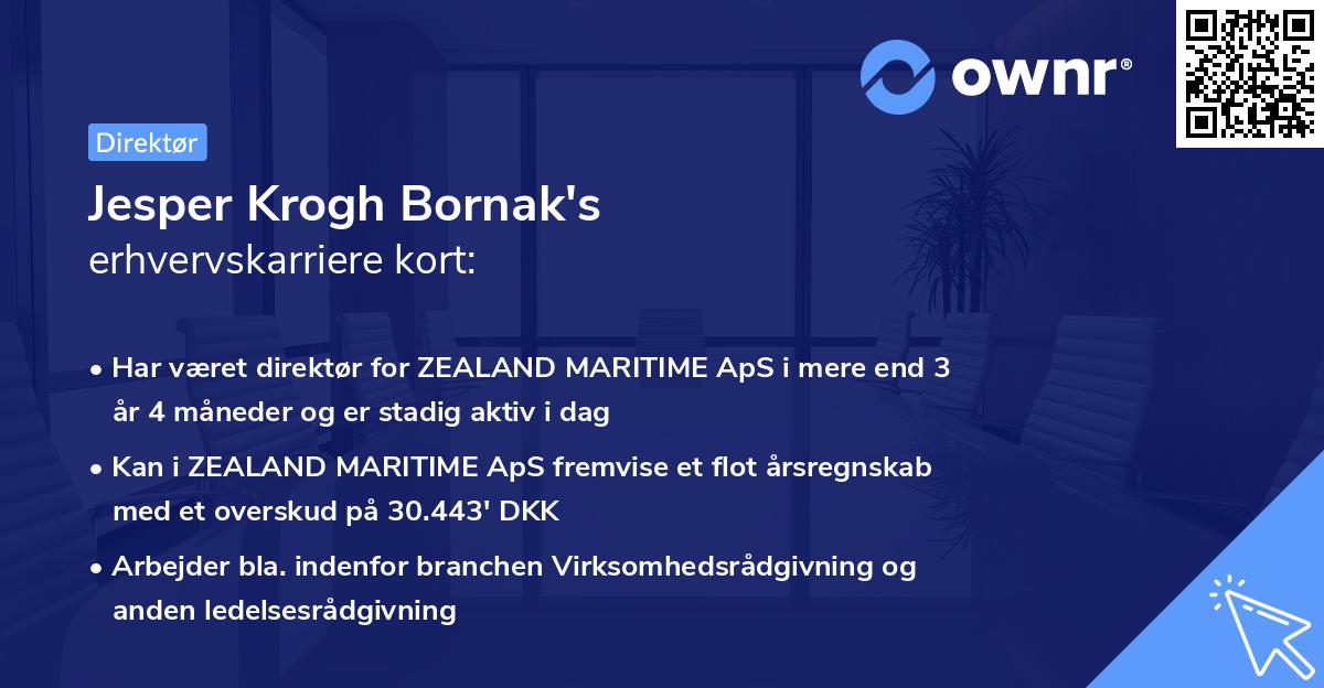 Jesper Krogh Bornak's erhvervskarriere kort