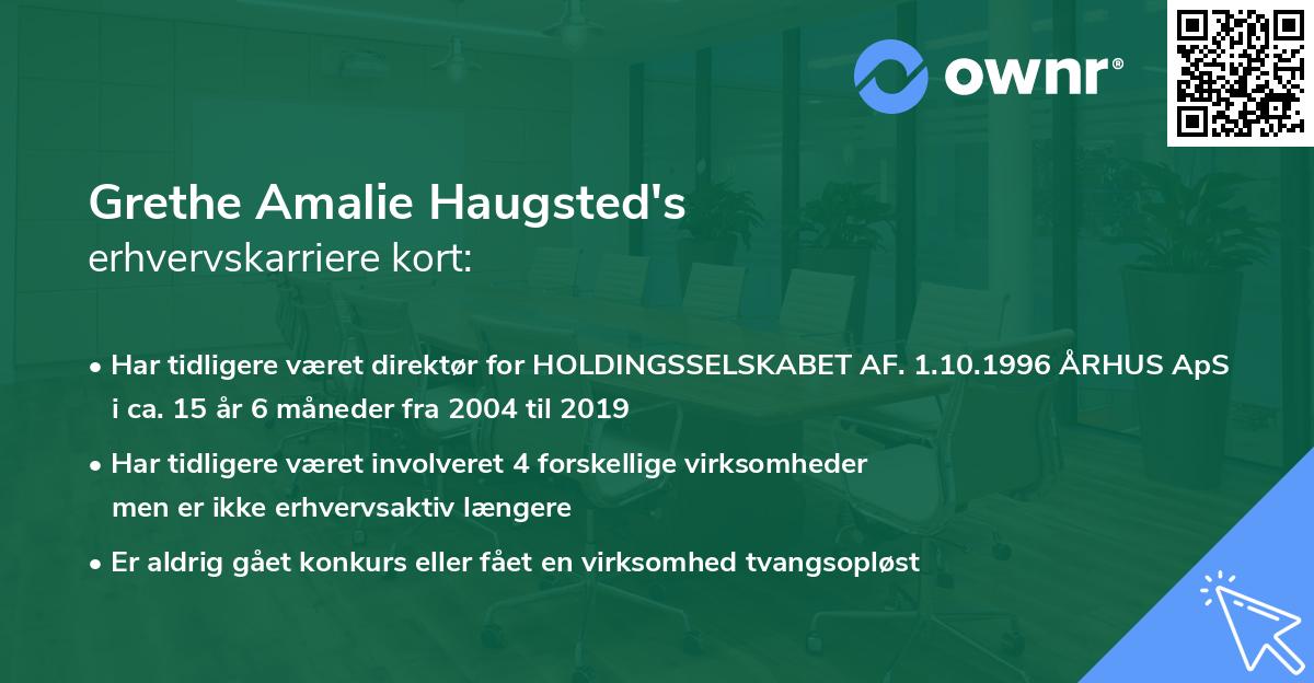 Grethe Amalie Haugsted's erhvervskarriere kort