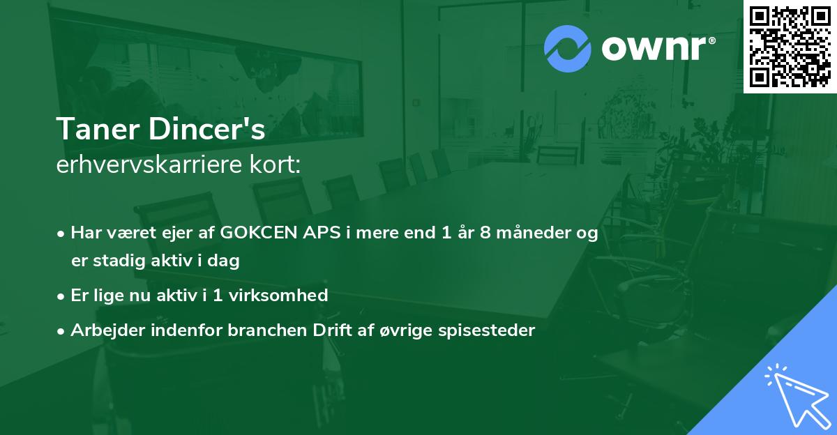 Taner Dincer's erhvervskarriere kort