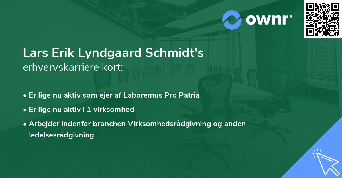 Lars Erik Lyndgaard Schmidt's erhvervskarriere kort