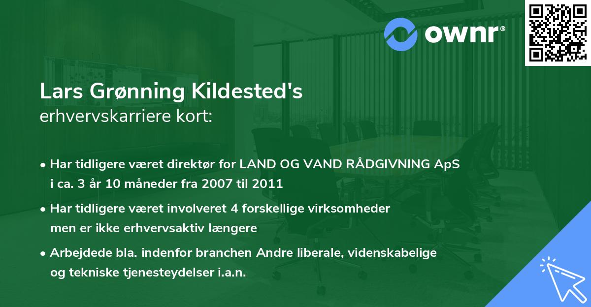 Lars Grønning Kildested's erhvervskarriere kort