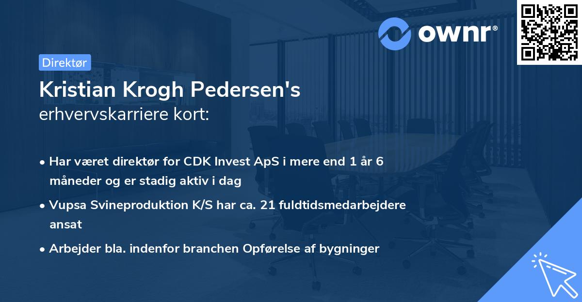 Kristian Krogh Pedersen's erhvervskarriere kort