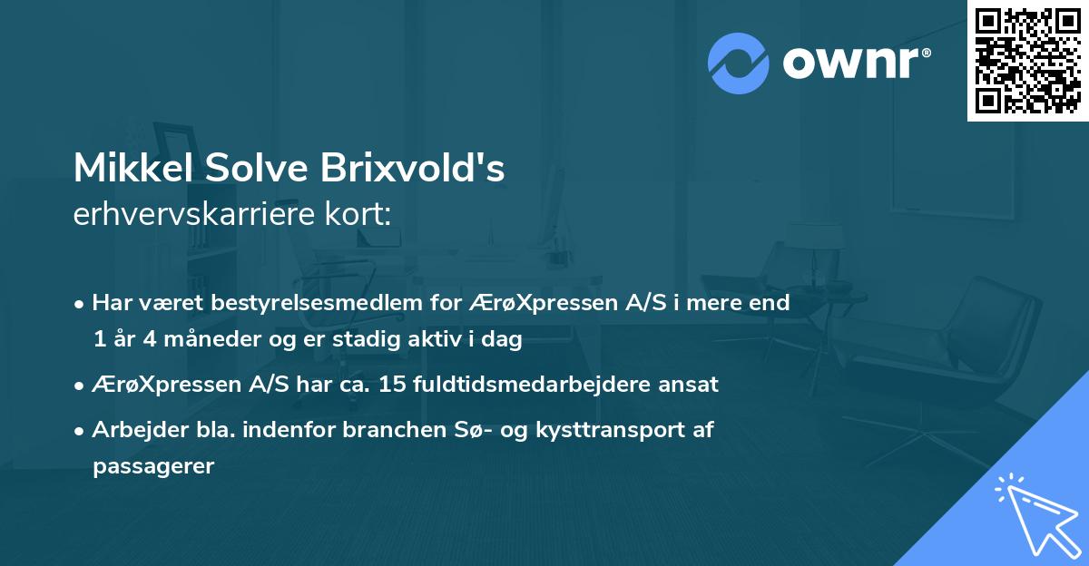 Mikkel Solve Brixvold's erhvervskarriere kort