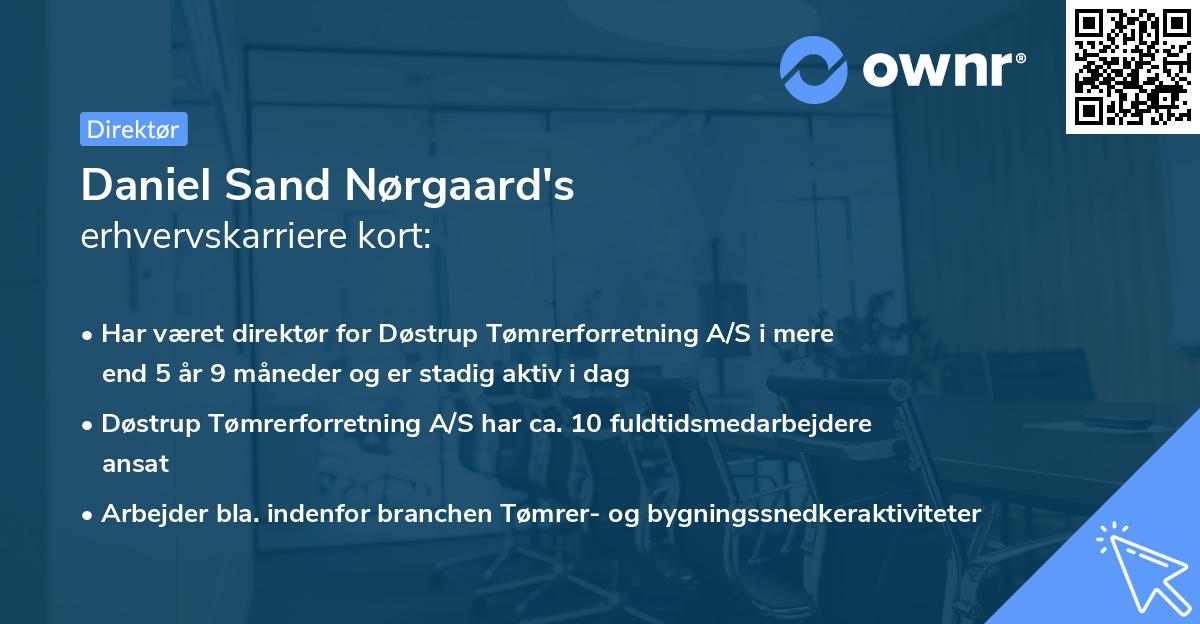 Daniel Sand Nørgaard's erhvervskarriere kort