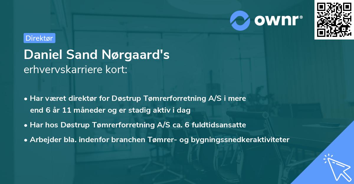 Daniel Sand Nørgaard's erhvervskarriere kort
