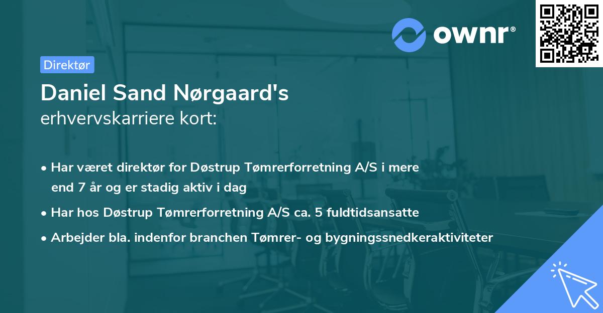 Daniel Sand Nørgaard's erhvervskarriere kort