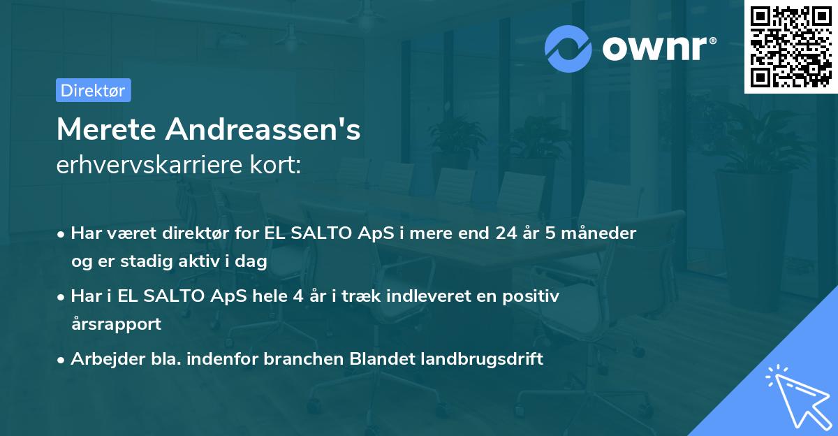 Merete Andreassen's erhvervskarriere kort