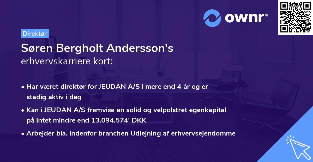 Søren Bergholt Andersson's erhvervskarriere kort