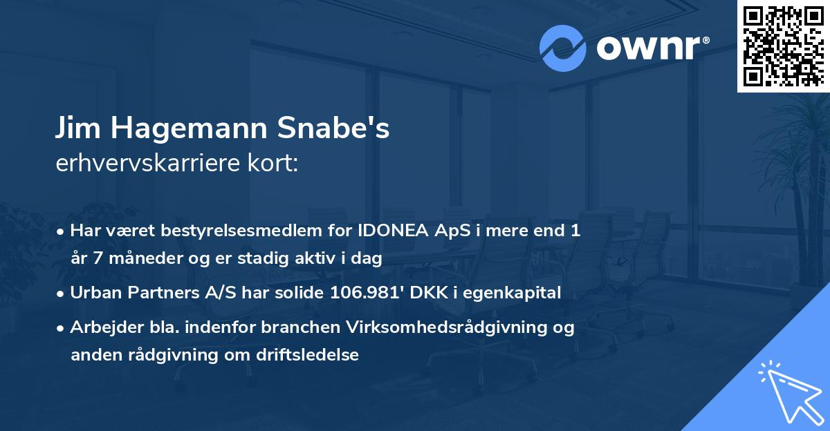 Jim Hagemann Snabe's erhvervskarriere kort