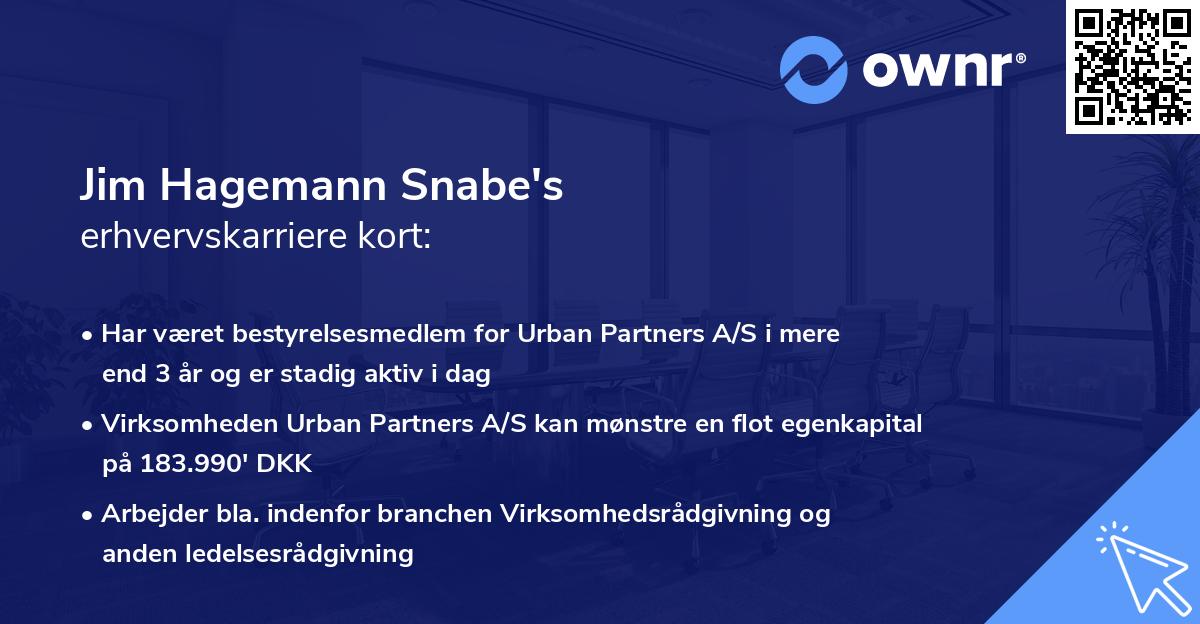 Jim Hagemann Snabe's erhvervskarriere kort