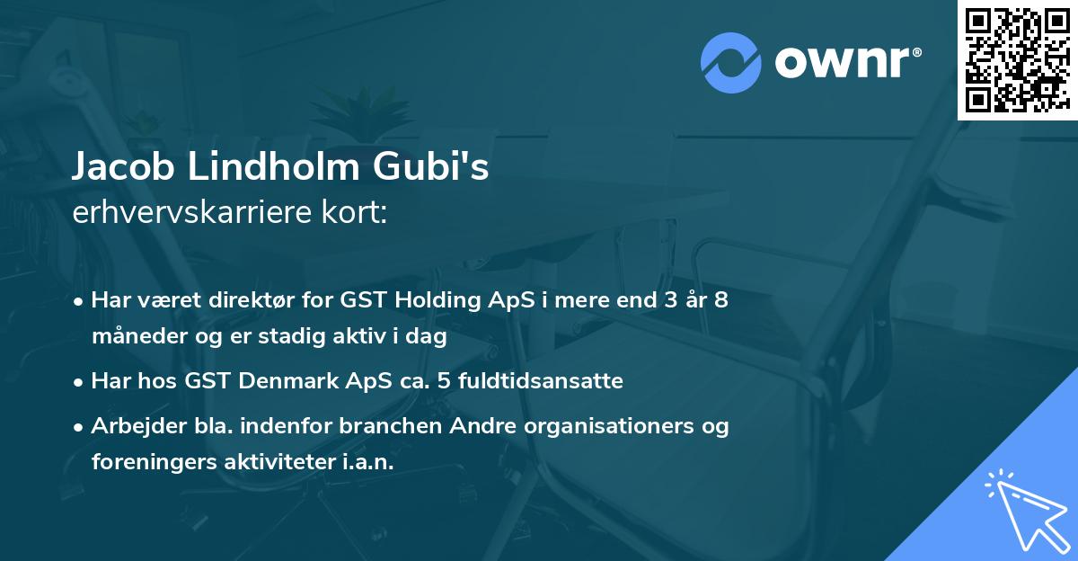 Jacob Lindholm Gubi's erhvervskarriere kort