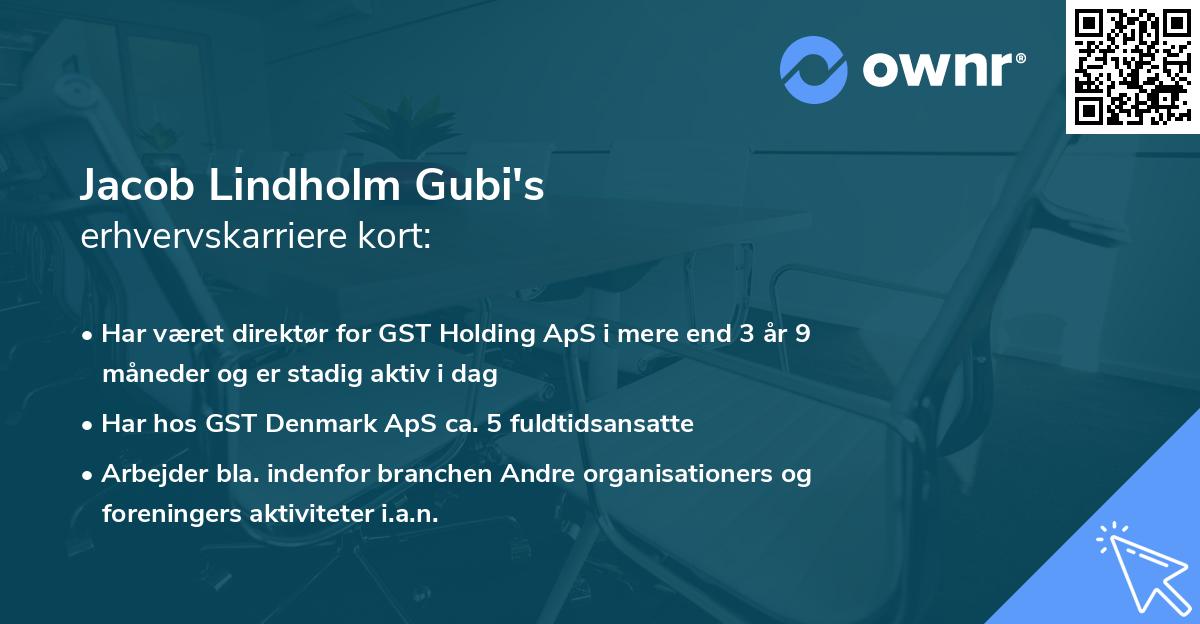 Jacob Lindholm Gubi's erhvervskarriere kort