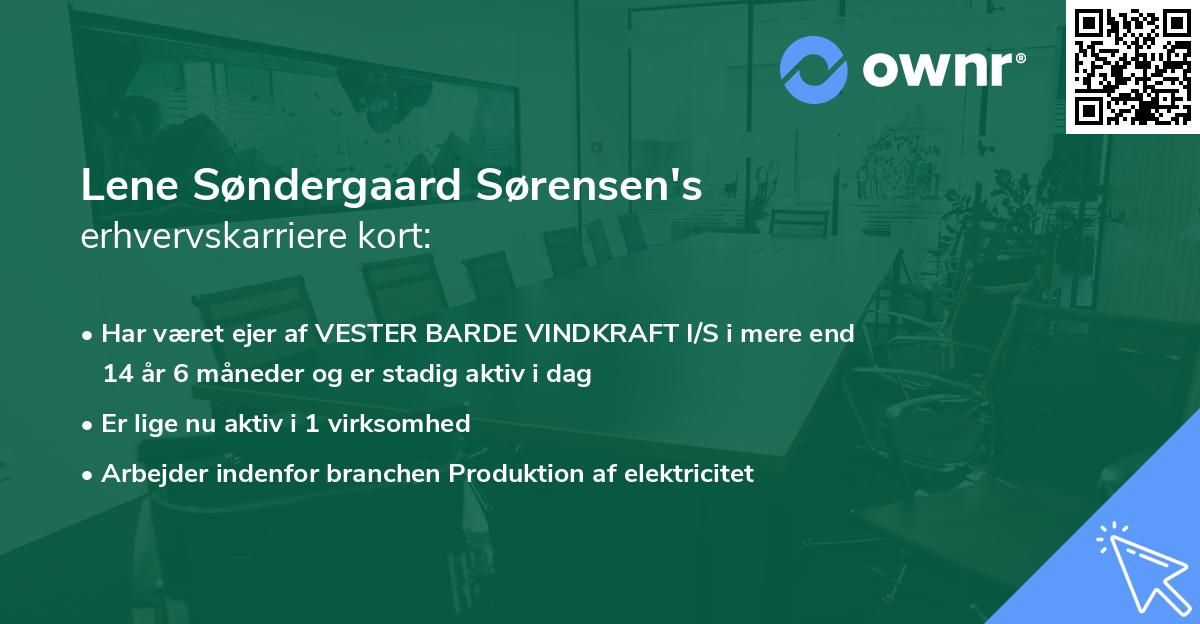 Lene Søndergaard Sørensen's erhvervskarriere kort