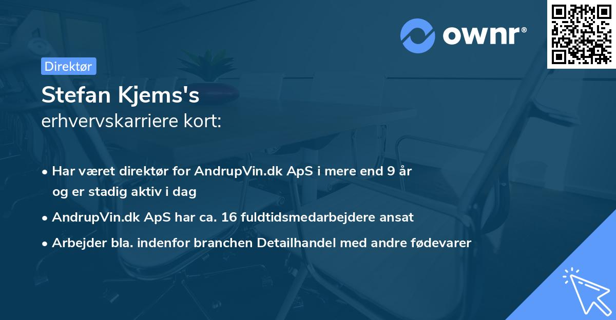 Stefan Kjems's erhvervskarriere kort