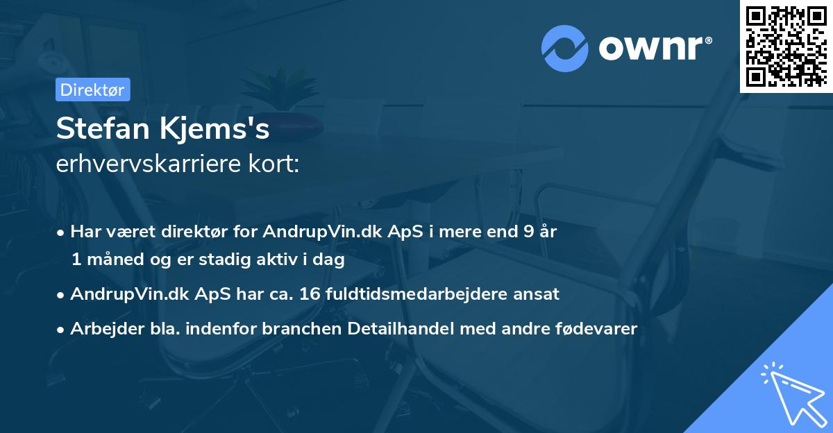 Stefan Kjems's erhvervskarriere kort