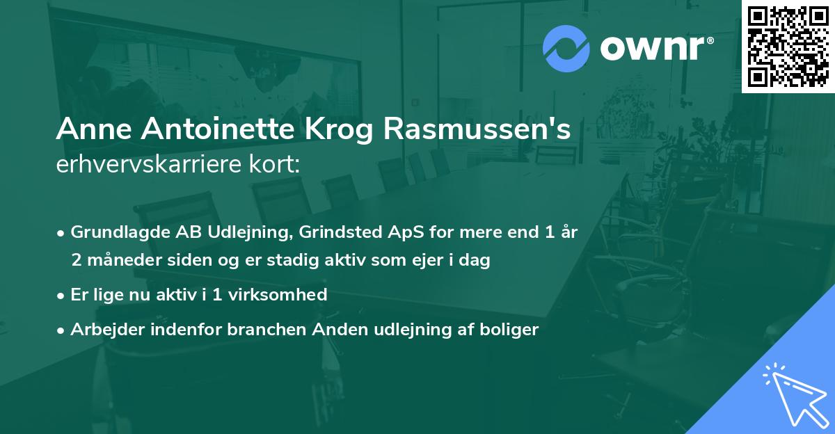 Anne Antoinette Krog Rasmussen's erhvervskarriere kort